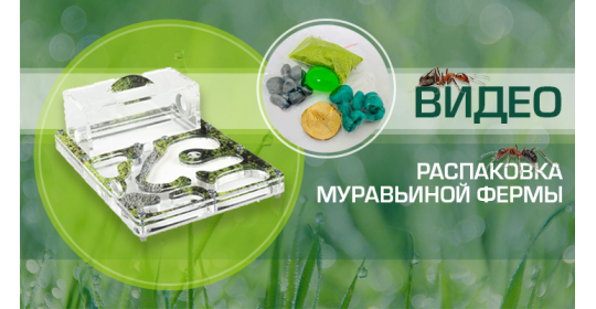 А что это там у нас в коробке? Распакуем?