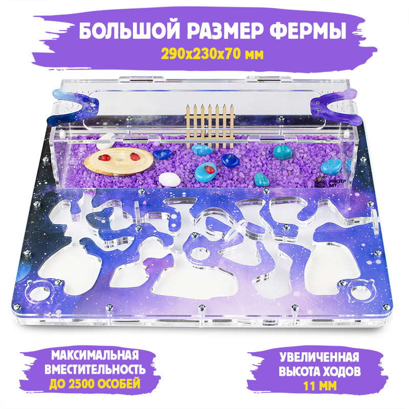 Муравьиная ферма Макси "Космос" (ПОЛНЫЙ КОМПЛЕКТ) Муравьиная ферма Макси "Космос" (ПОЛНЫЙ КОМПЛЕКТ)