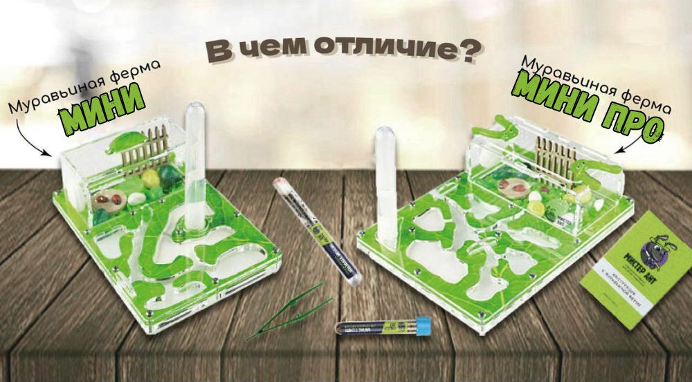 Мини или Мини ПРО: какую ферму выбрать